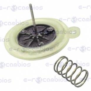 SAUNIER DUVAL 367.66.0006