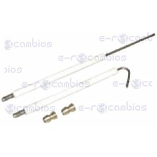 STANDARD 309.01.0004